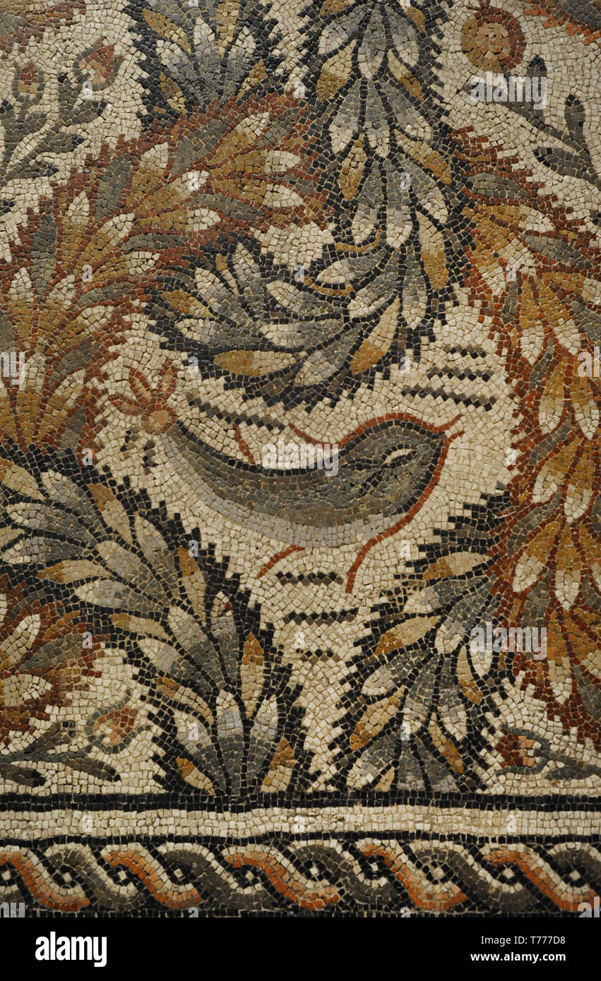 Plant mosaic. 4th century AD. Detail. It adorned the antechamber to a reception room at a country villa. The plant motifs, garlands and dolphin, symbolise the abundance and fertility of nature. From Villa of Soto de Ramalete (Tudela, Navarre). National Archaeological Museum. Madrid. Spain. Stock Photo