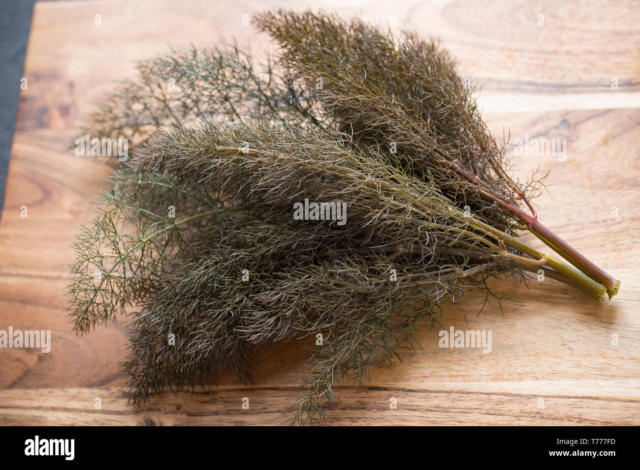 Sprigs of bronze fennel, Foeniculum vulgare purpureum, from a plant found growing wild at the side of a footpath. It will be used to flavour a fish st Stock Photo