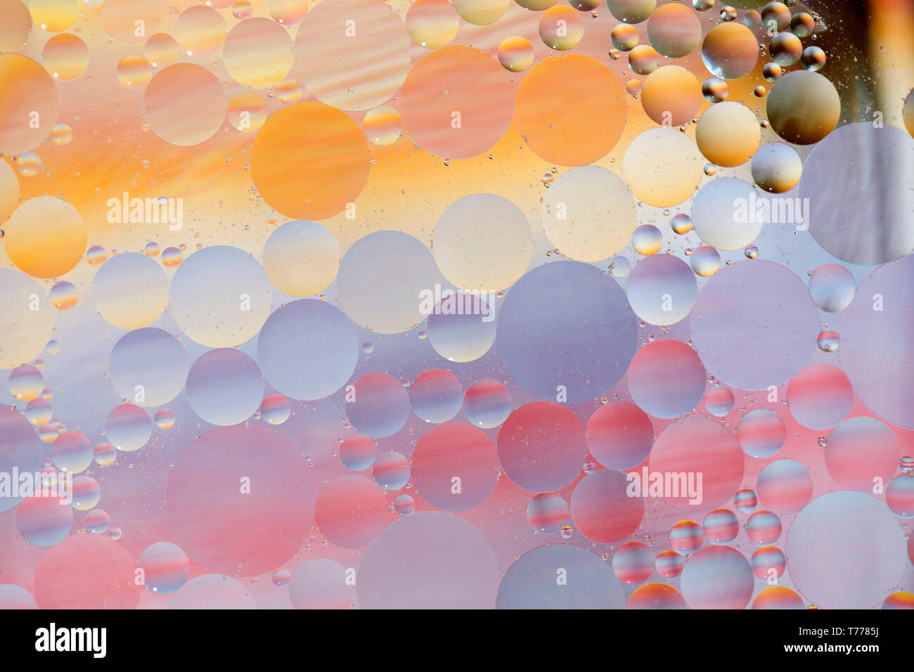 Oil drops in water -  colorful abstract background Stock Photo
