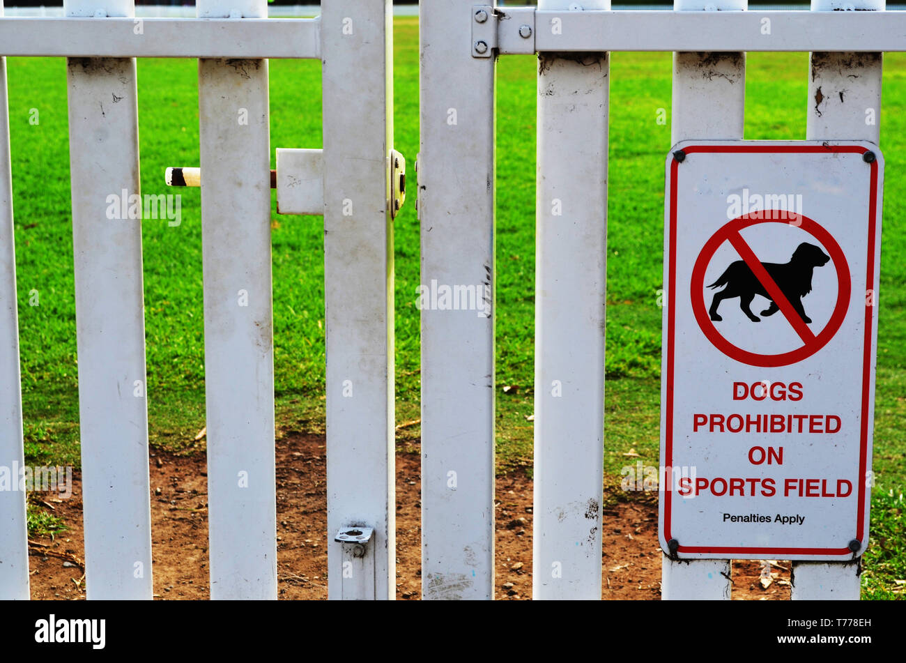 No dogs sign at sports field Stock Photo