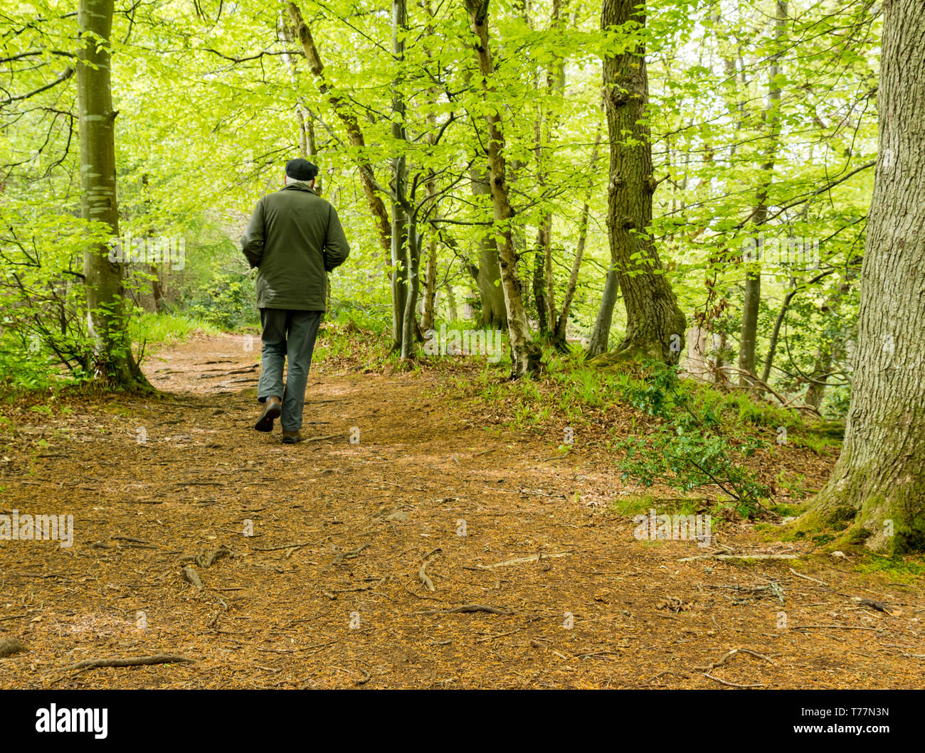 Older man walking along track hi-res stock photography and images - Alamy