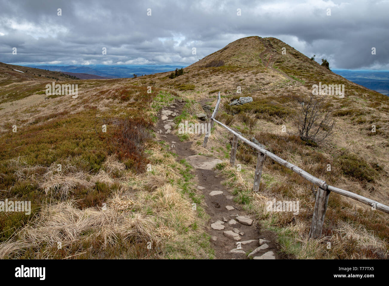 Empty trail in the mountains of central europe. A path leading high in ...