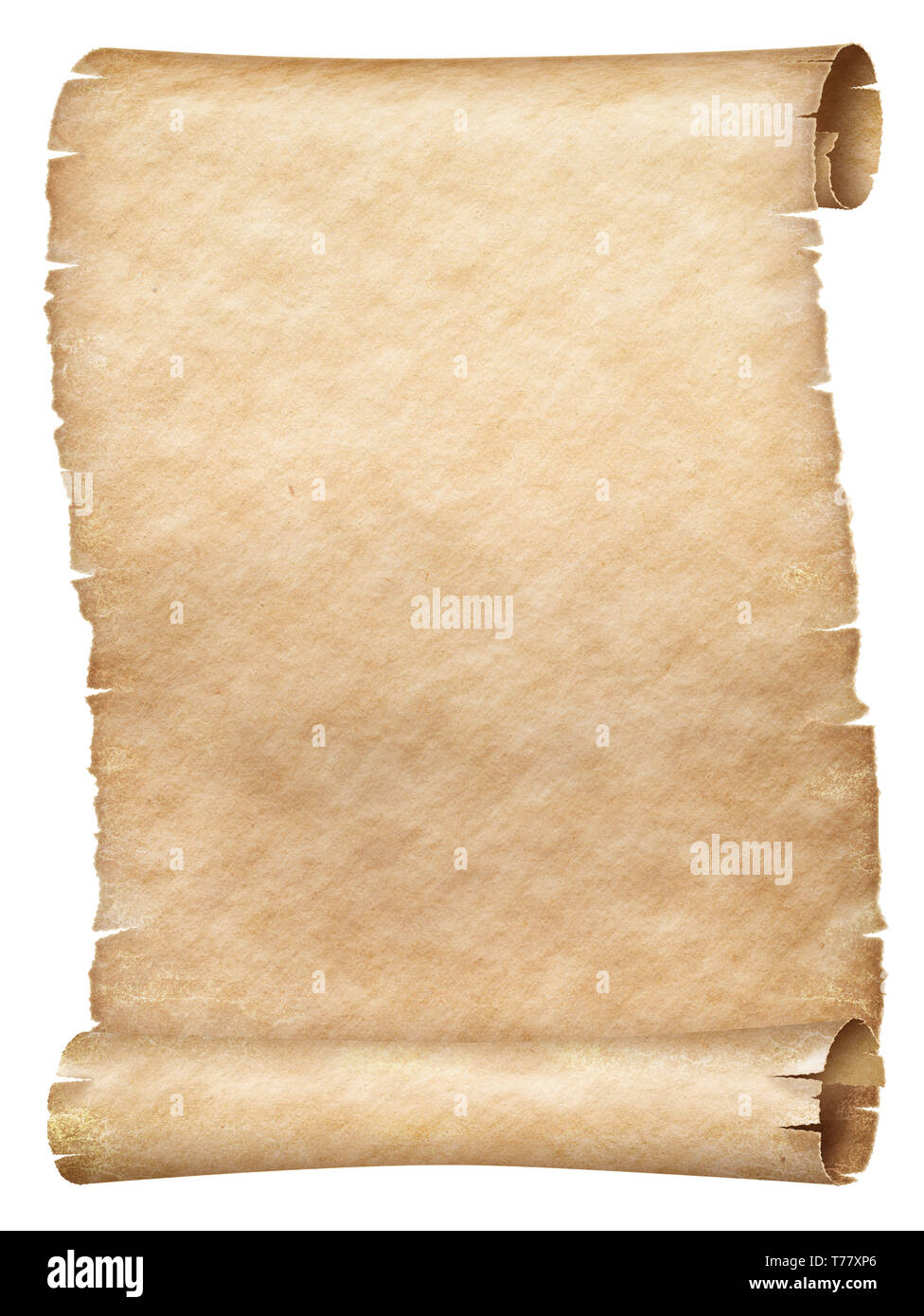 Parchment roll. Old vintage paper scrolls, antique papyrus d