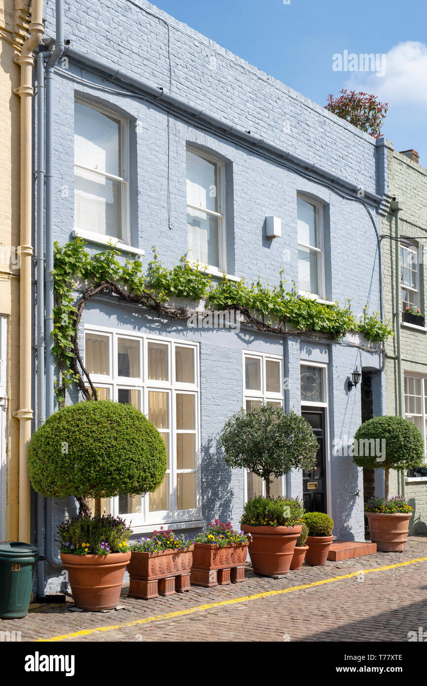 Colourful Houses and small trees and shrubs in containers in Princes Gate Mews, Kensington, London, England Stock Photo
