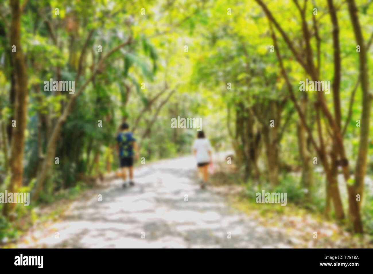 Blurred nature background of two people walking along the pathway in the park, surrounded by lush green trees in summer with natural sunlight. Stock Photo
