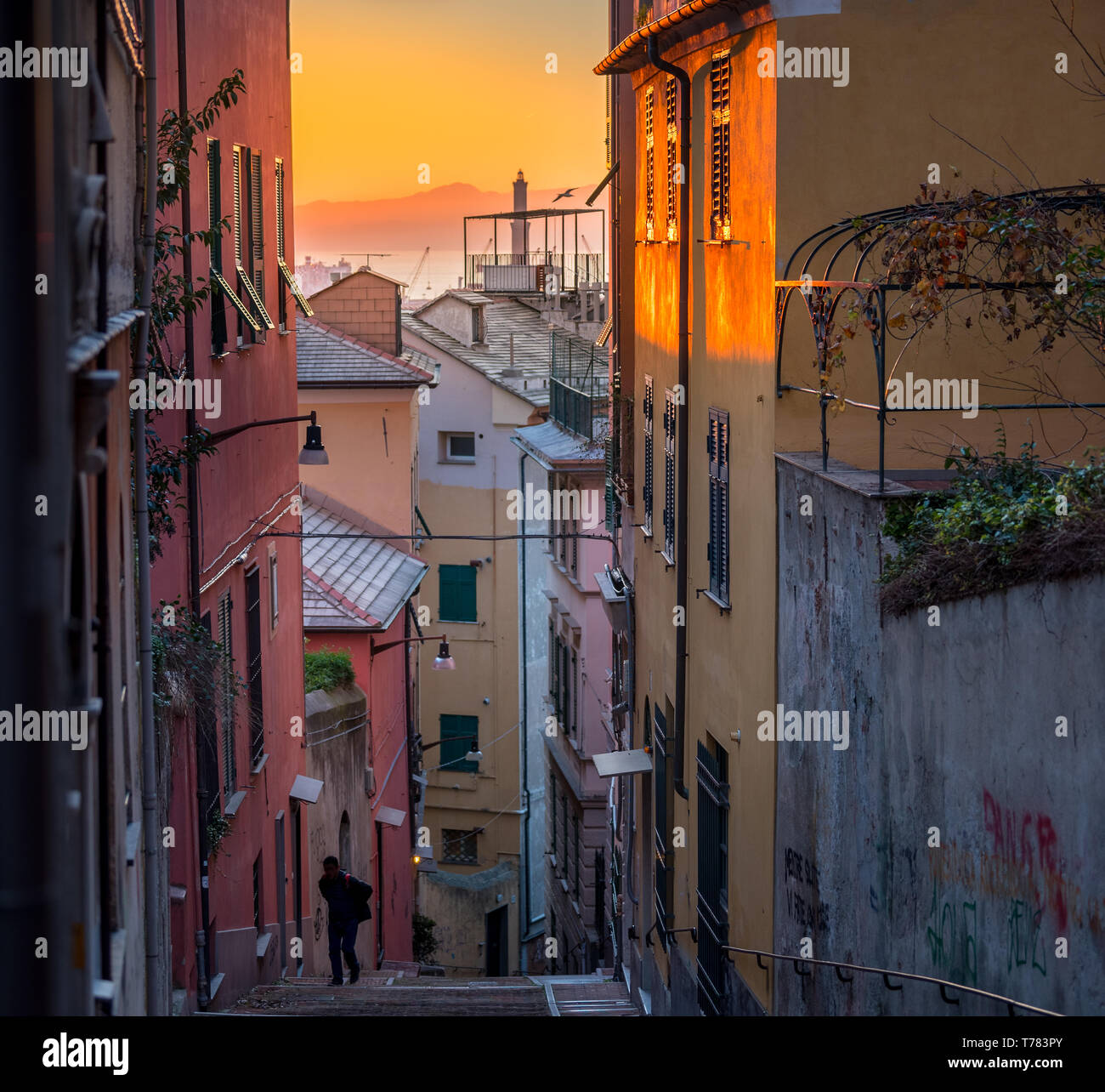 Genova symbol of the city: Lanterna lighthouse and characteristic typical colorful narrow alleys (caruggi, vicoli) and colored houses of old town Stock Photo