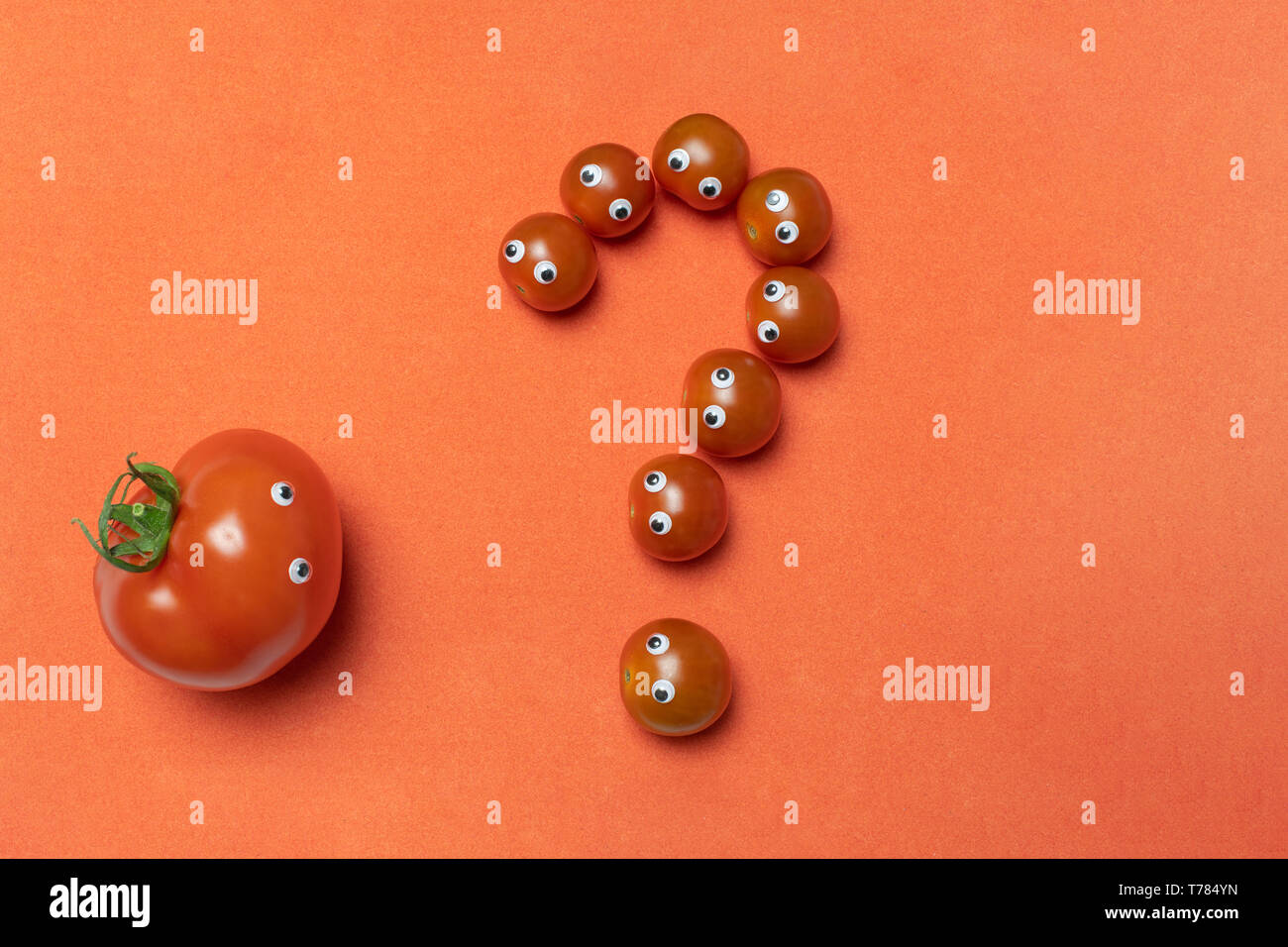 Tomatoes question mark concept with copy space. Little cherry tomatoes