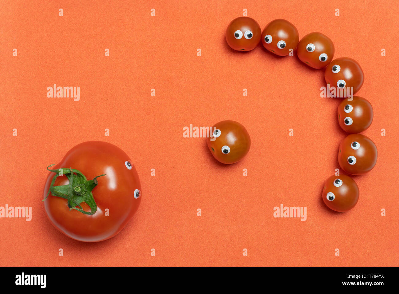 Tomatoes with eyes funny concept, copy space. Fresh little cherry and