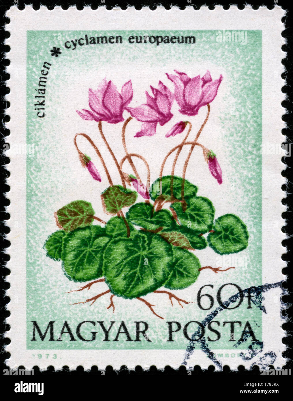 Postage stamp from Hungary in the Flowers (1973) series Stock Photo - Alamy