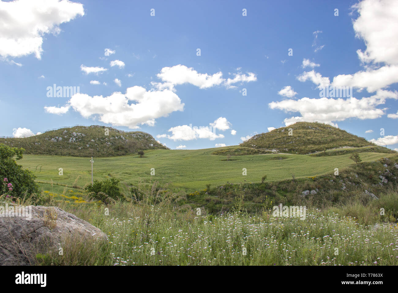 Scenic rural landscape close up, far hills in the green grass and blue sky in spring Stock Photo