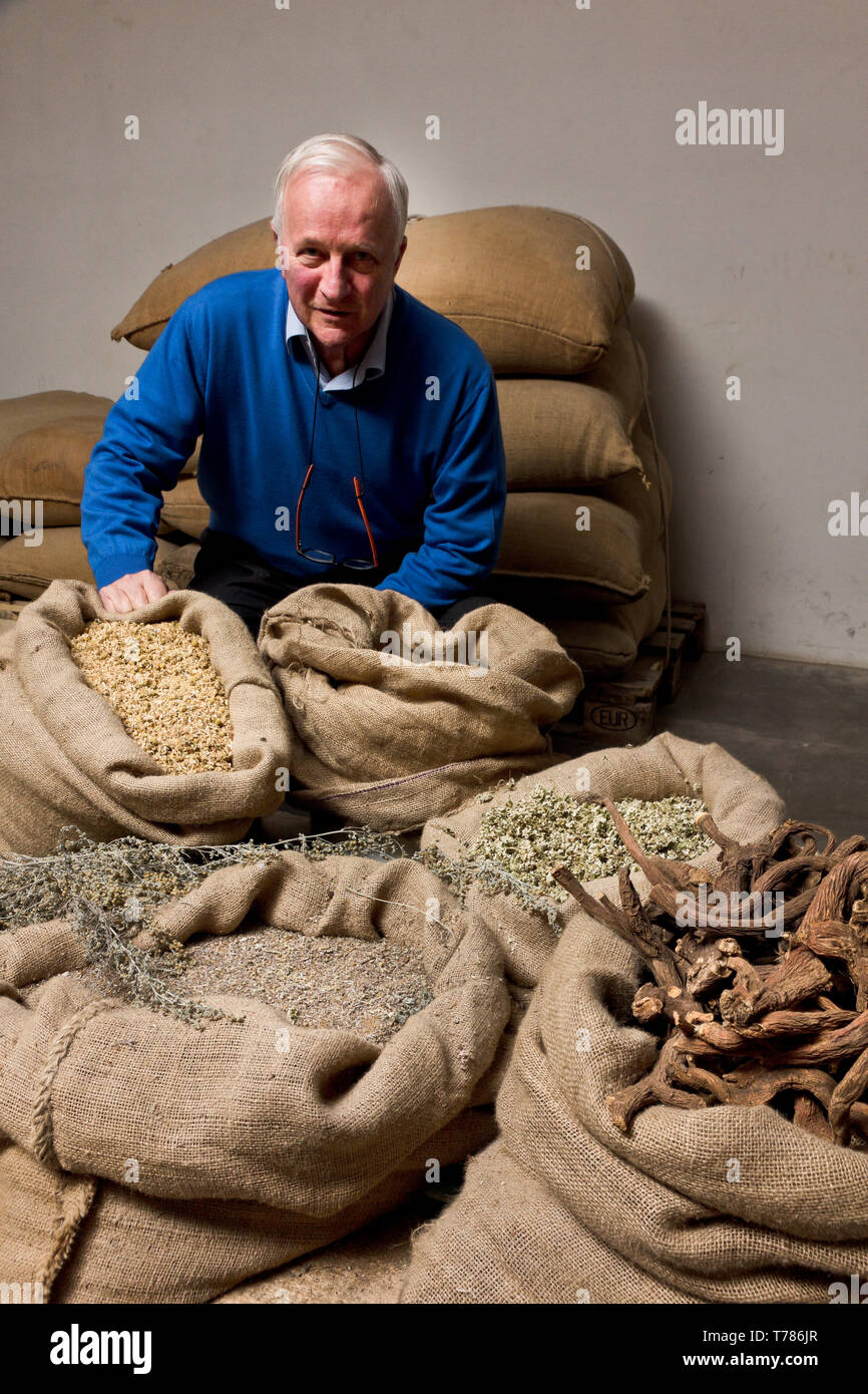 Distilleria Peloni: Egidio Tarantola Peloni, il titolare, mostra cinque delle 16 erbe per preparare l'amaro Braulio.  [ENG]  Distilleria Peloni: Egidi Stock Photo