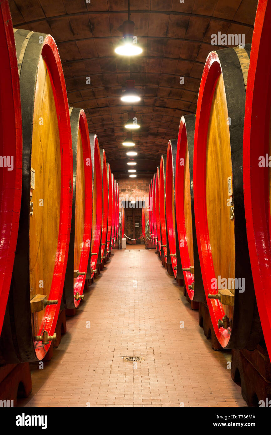 Distilleria Peloni, le cantine: le botti per l'invecchiamento dell'amaro Braulio.  [ENG]  Distilleria Peloni, the cellars: the barrels for the ageing  Stock Photo