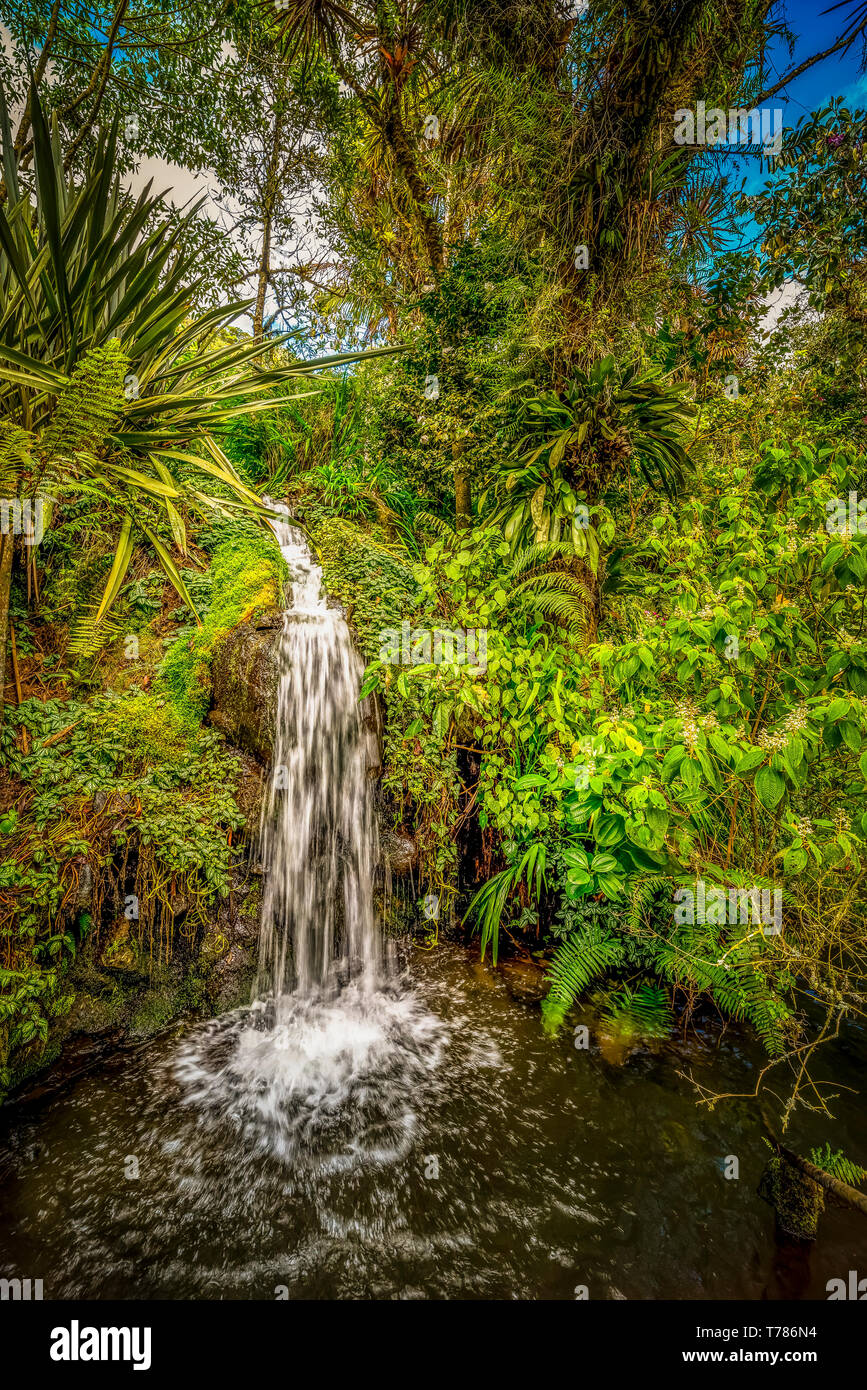 Waterfall in the tropical rain forest Stock Photo