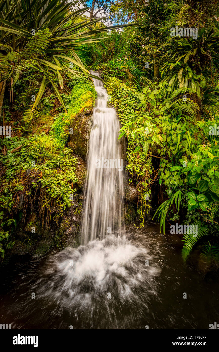 Waterfall in the tropical rain forest Stock Photo