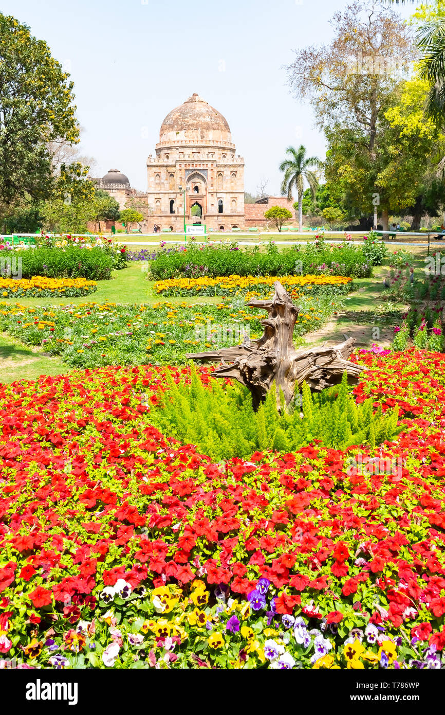 Beautuful Lodhi Garden With Flowers Greenhouse Tombs And Other