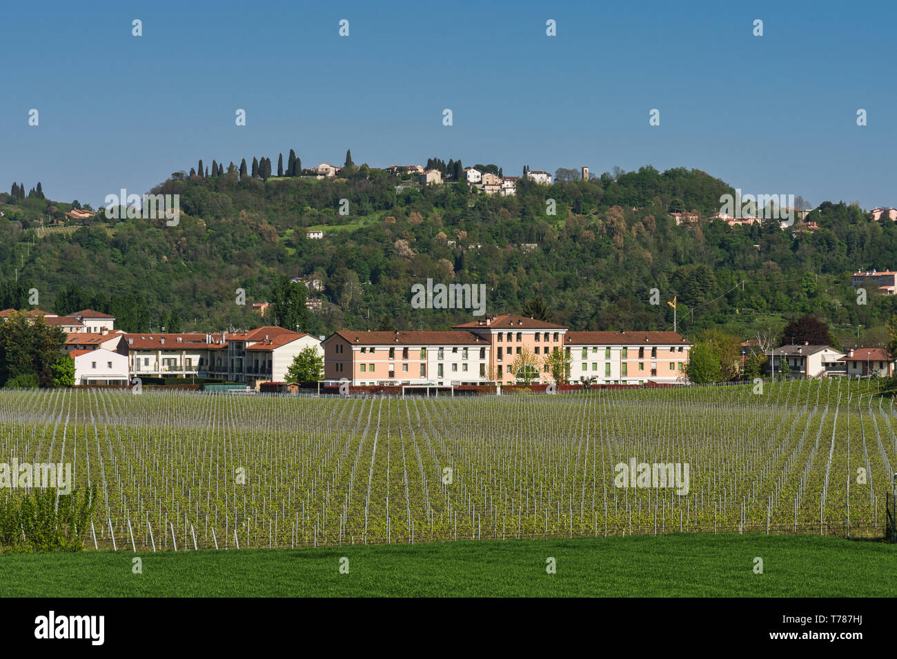 Altavilla Vicentina Hi res Stock Photography And Images Alamy altavilla-vicentina-hi-res-stock-photography-and-images-alamy