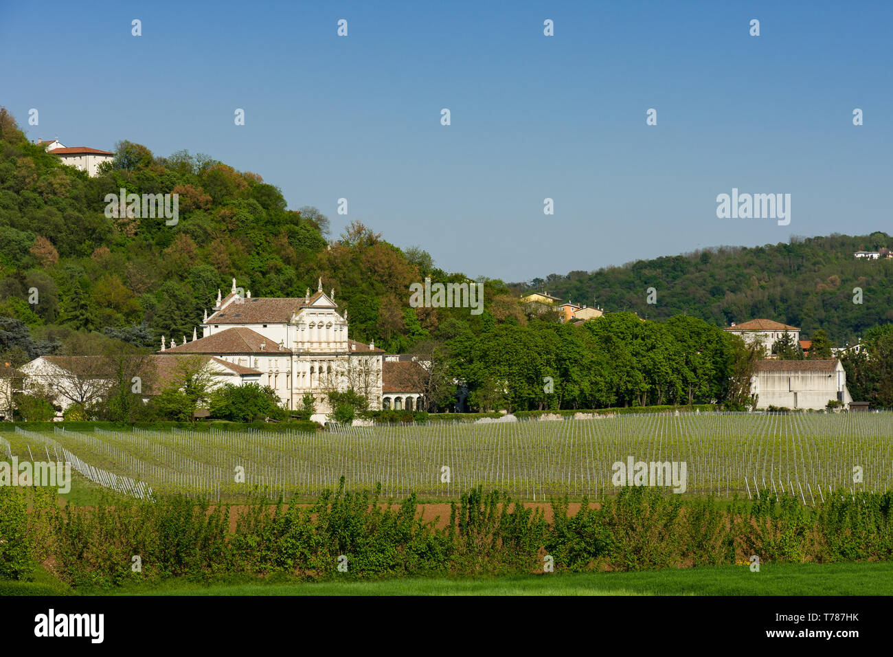 Frontal view of the Villa Valmarana Morosini in Altavilla Vicentina among the vineyards Stock Photo