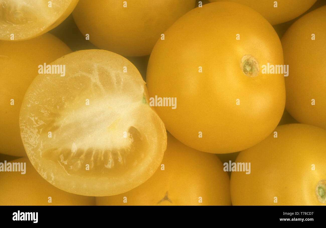 Harvested yellow tomatoes (Solanum lycopersicum, formerly Lycopersicon lycopersicum). Whole and halved fruit. Stock Photo