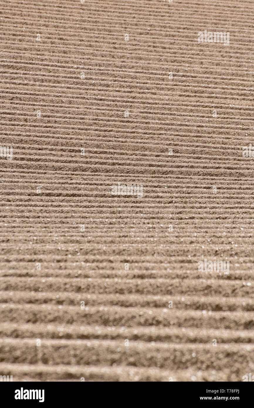 Ridge and furrow patterns in ploughed field of tilled soil - for potato crop. Tilled soil texture, ploughed soil texture, potato cultivation, agronomy Stock Photo