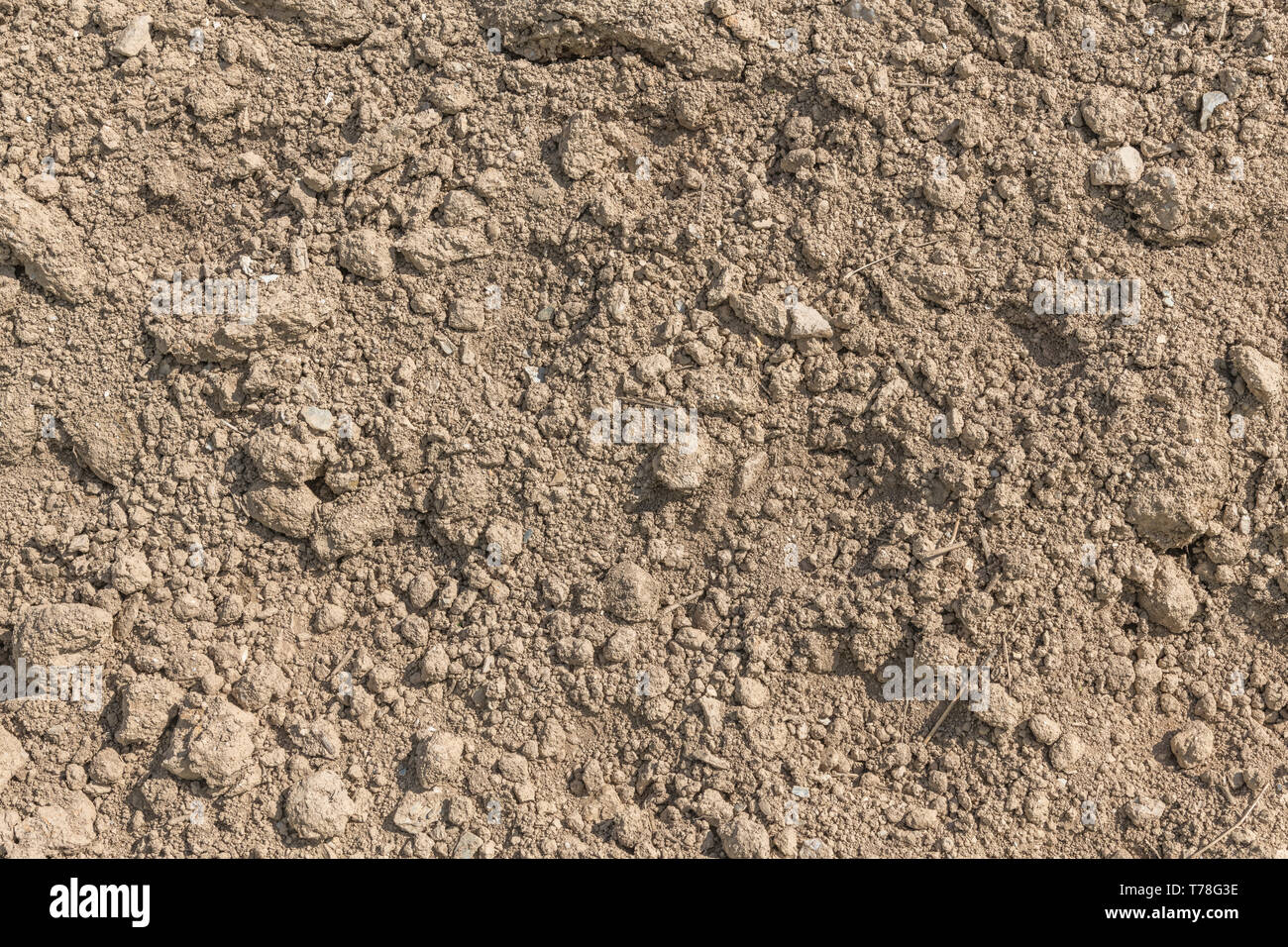 Lumps of dry soil in tilled / ploughed field. For scorched earth, World Water Day, drought, bone-dry, parched soil, drought, ploughed soil structure Stock Photo