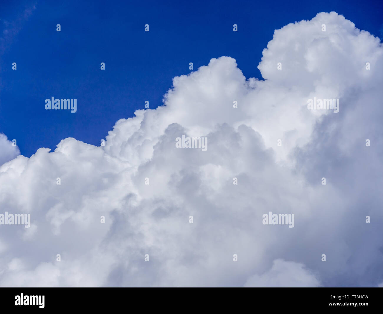 Image of blue sky abstract and fluffy white cloud during the daytime ...