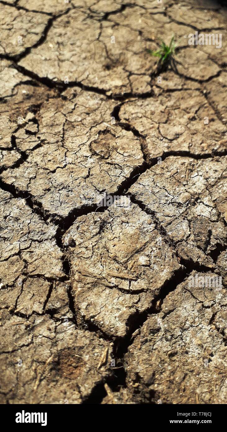 close up Dry cracked earth during drought Stock Photo - Alamy