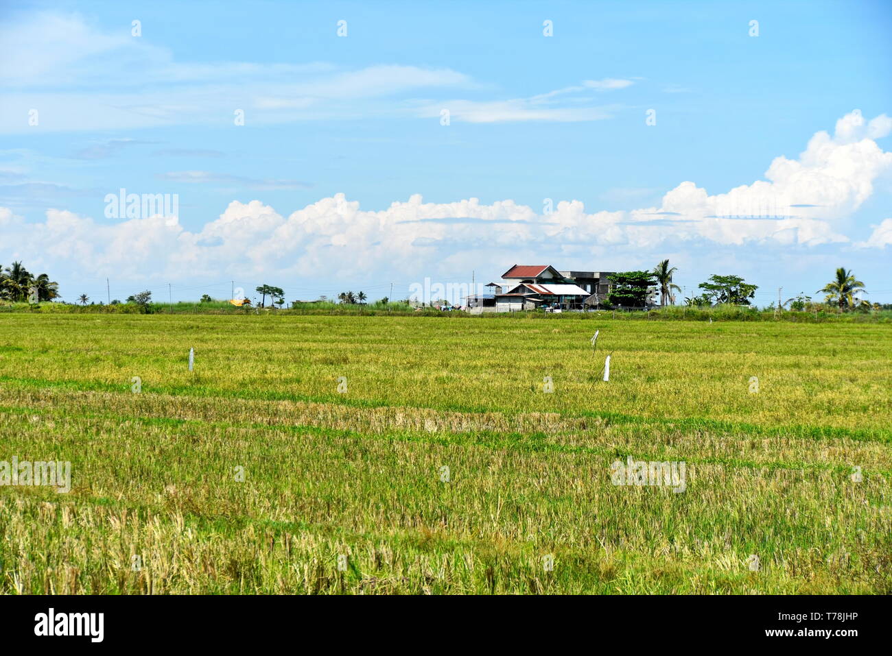 Around the Santiago City, Isabela, Philippines, Santiago City