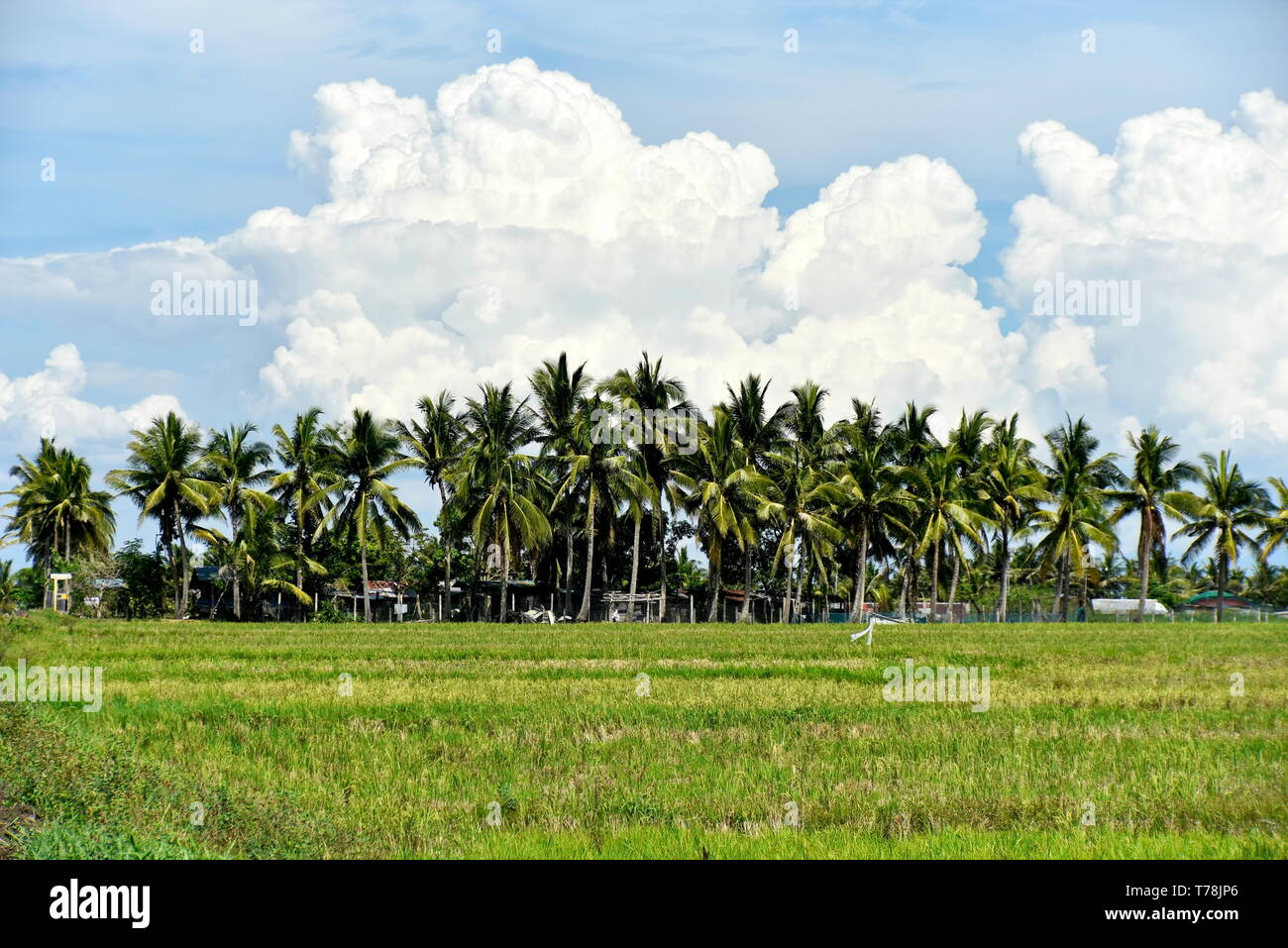 Around the Santiago City, Isabela, Philippines, Santiago City