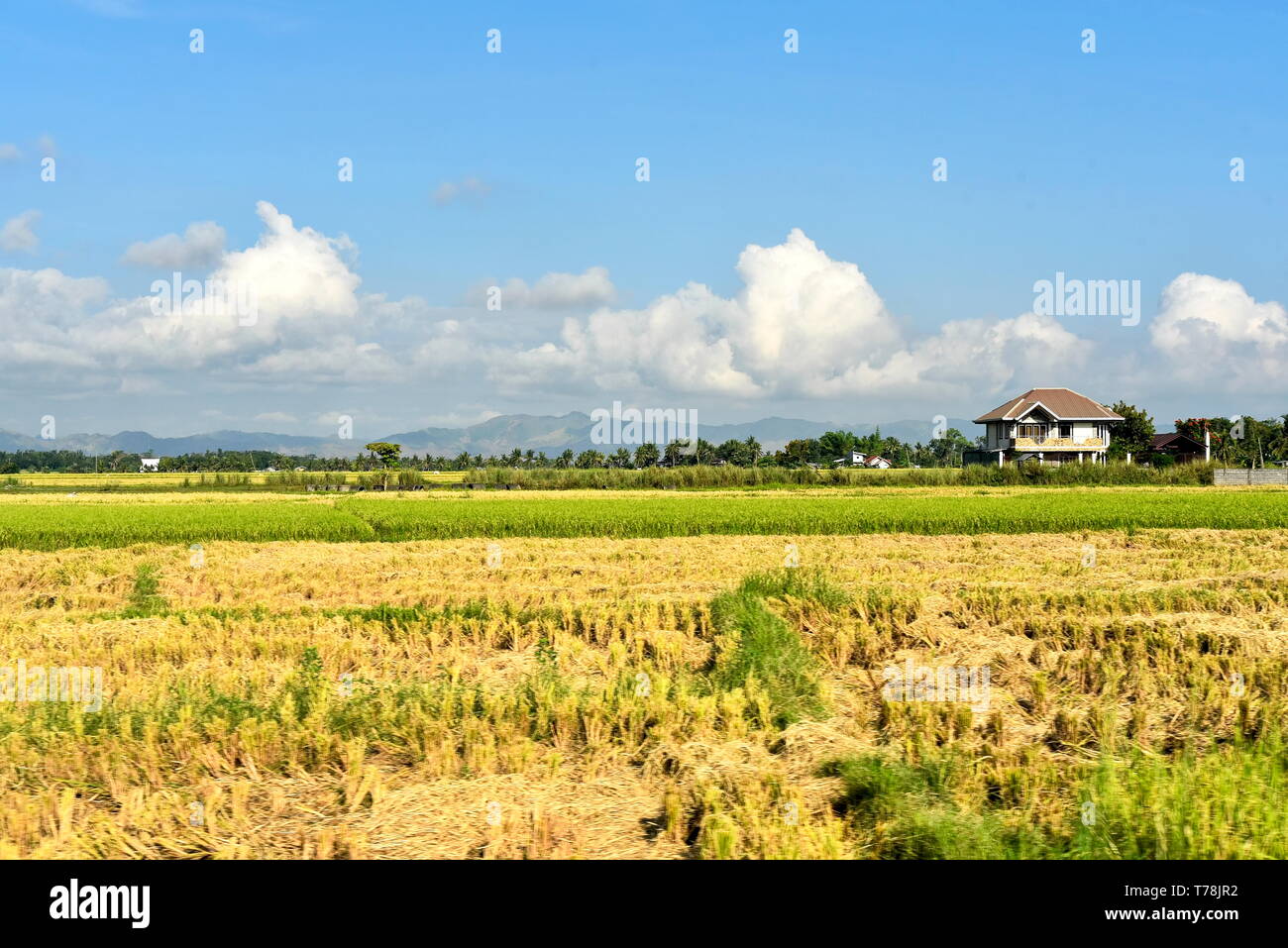 Around the Santiago City, Isabela, Philippines, Santiago City