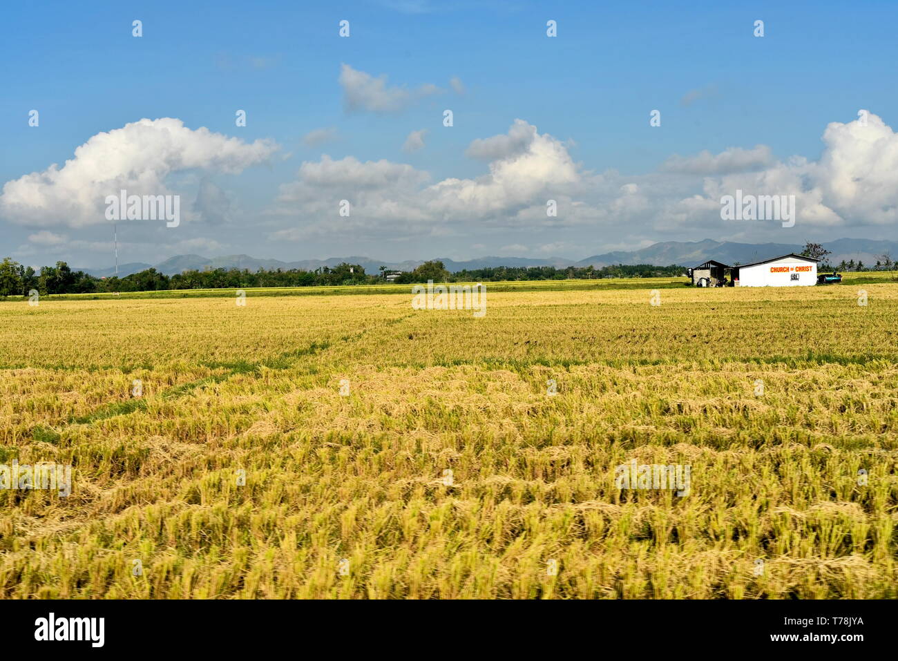 Around the Santiago City, Isabela, Philippines, Santiago City