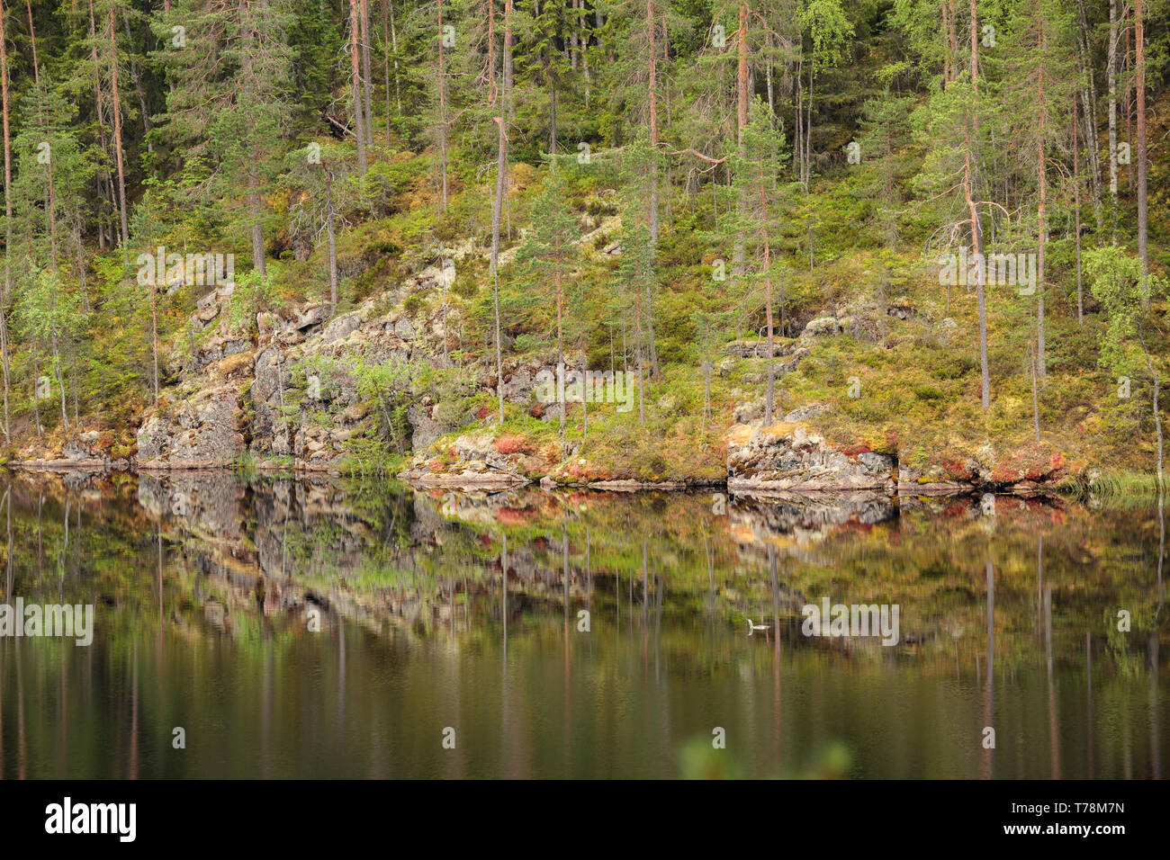 Cliff reflection in mirror lake hi-res stock photography and images - Alamy
