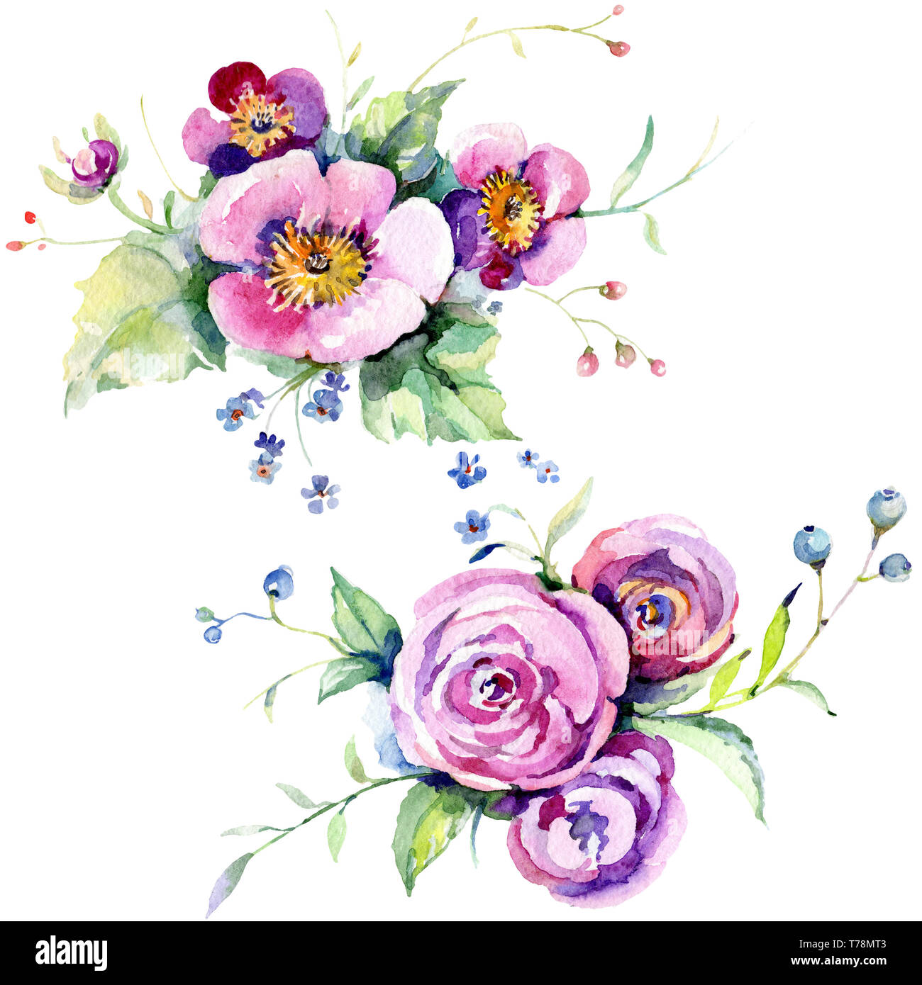 Pink rose bouquet loral botanical flowers. Watercolor background set ...