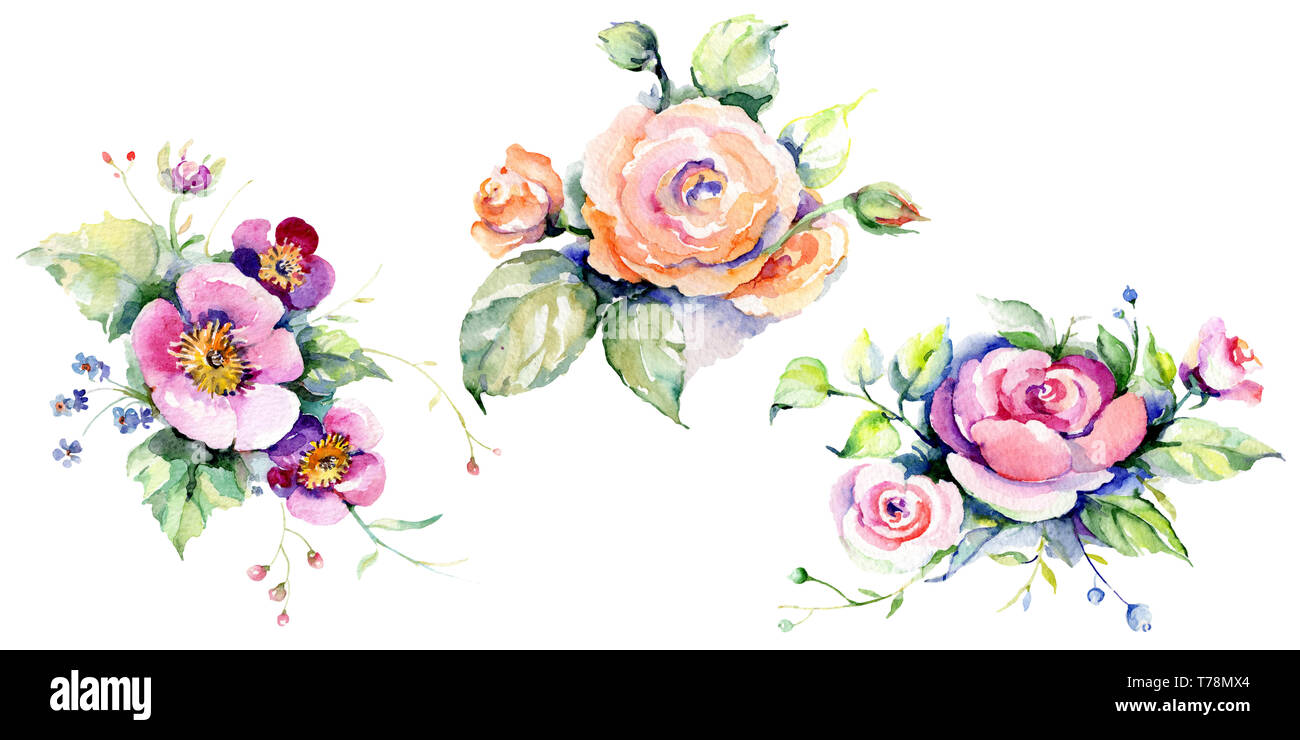 Pink rose bouquet loral botanical flowers. Watercolor background set ...