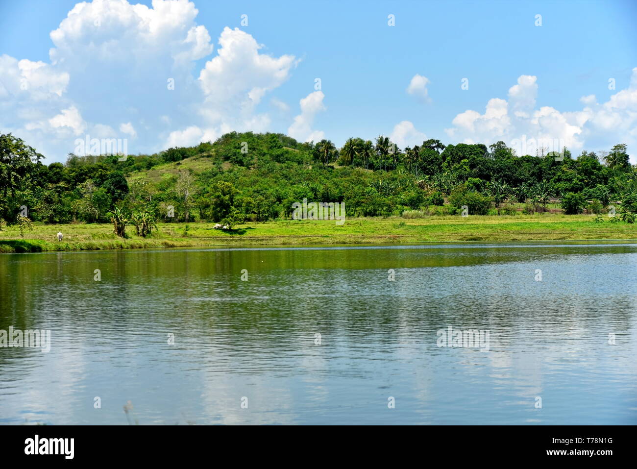Around the Santiago City, Isabela, Philippines, Santiago City