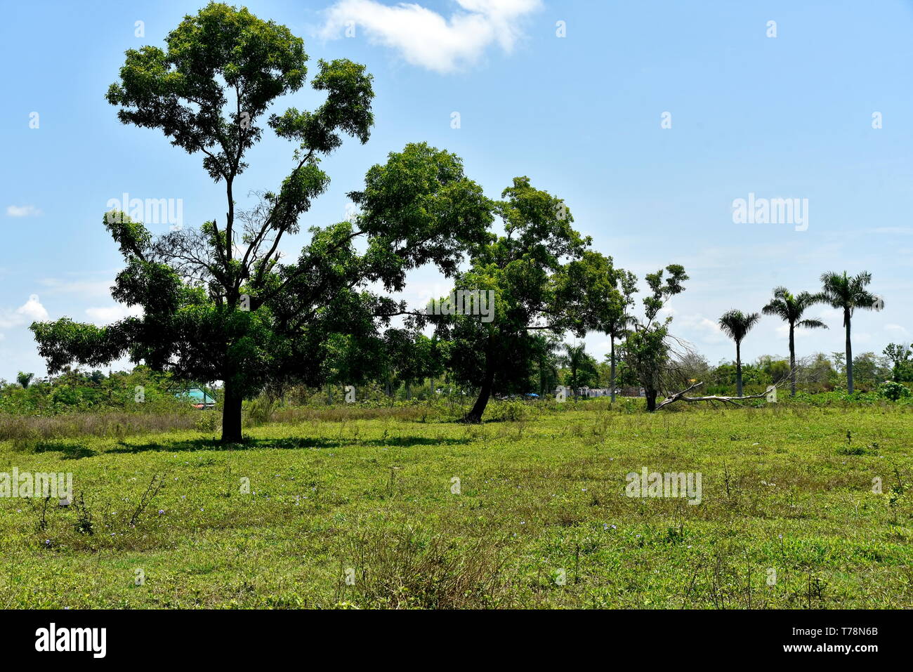 Around the Santiago City, Isabela, Philippines, Santiago City ...
