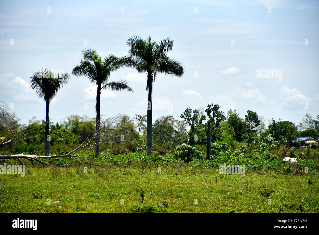 Around the Santiago City, Isabela, Philippines, Santiago City