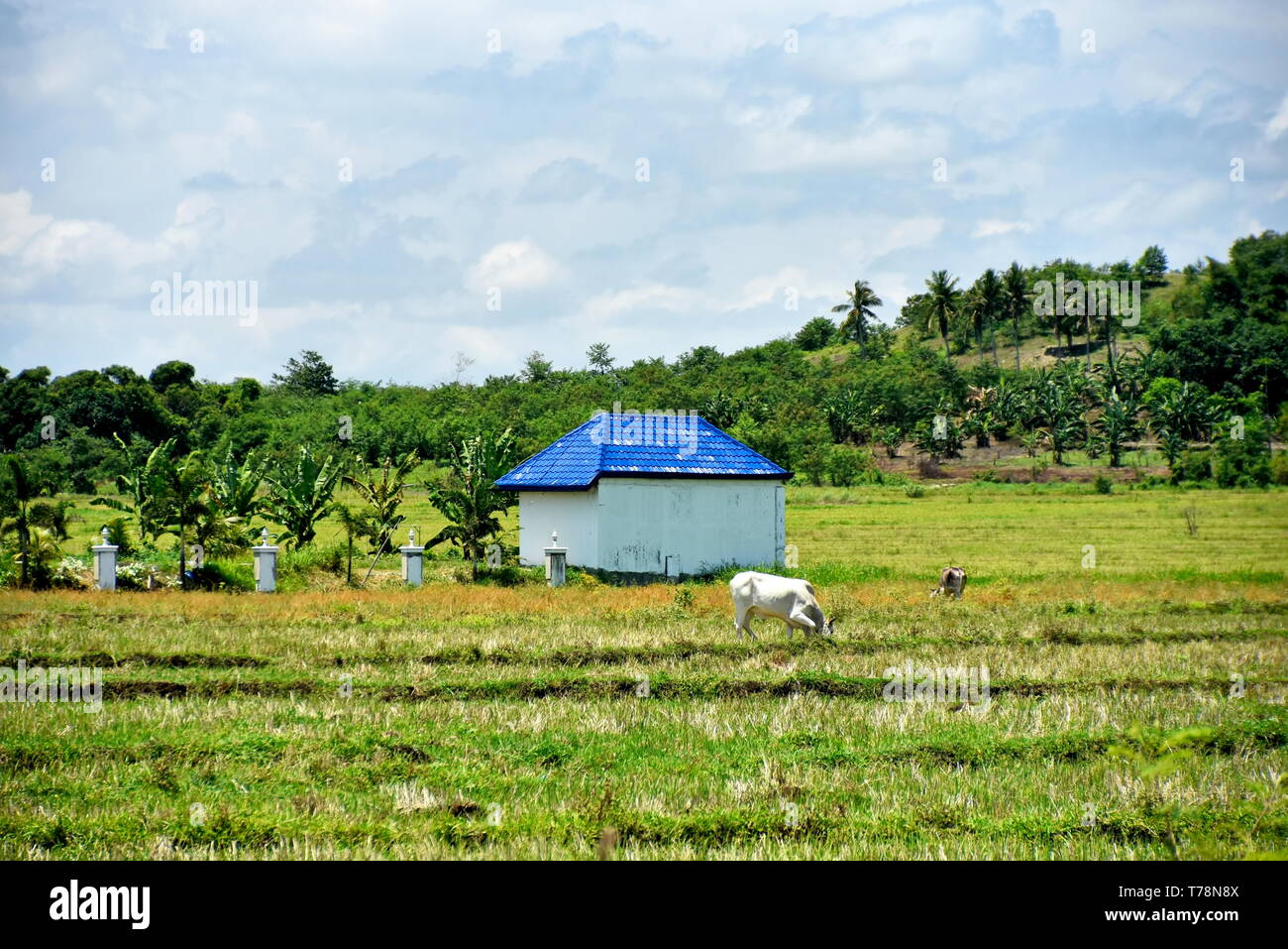 Around the Santiago City, Isabela, Philippines, Santiago City