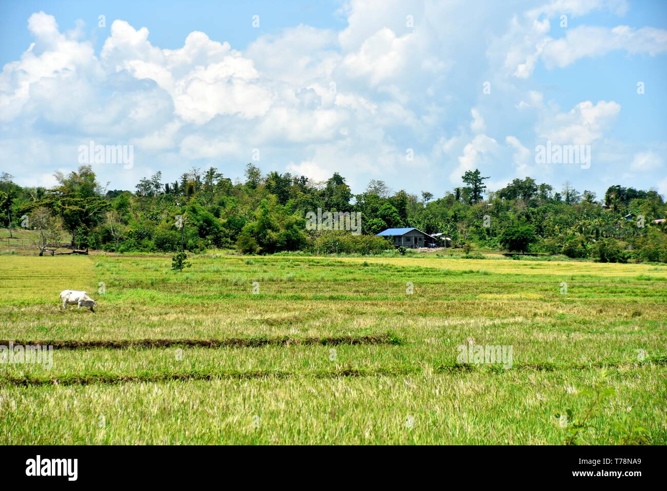 Around the Santiago City, Isabela, Philippines, Santiago City ...