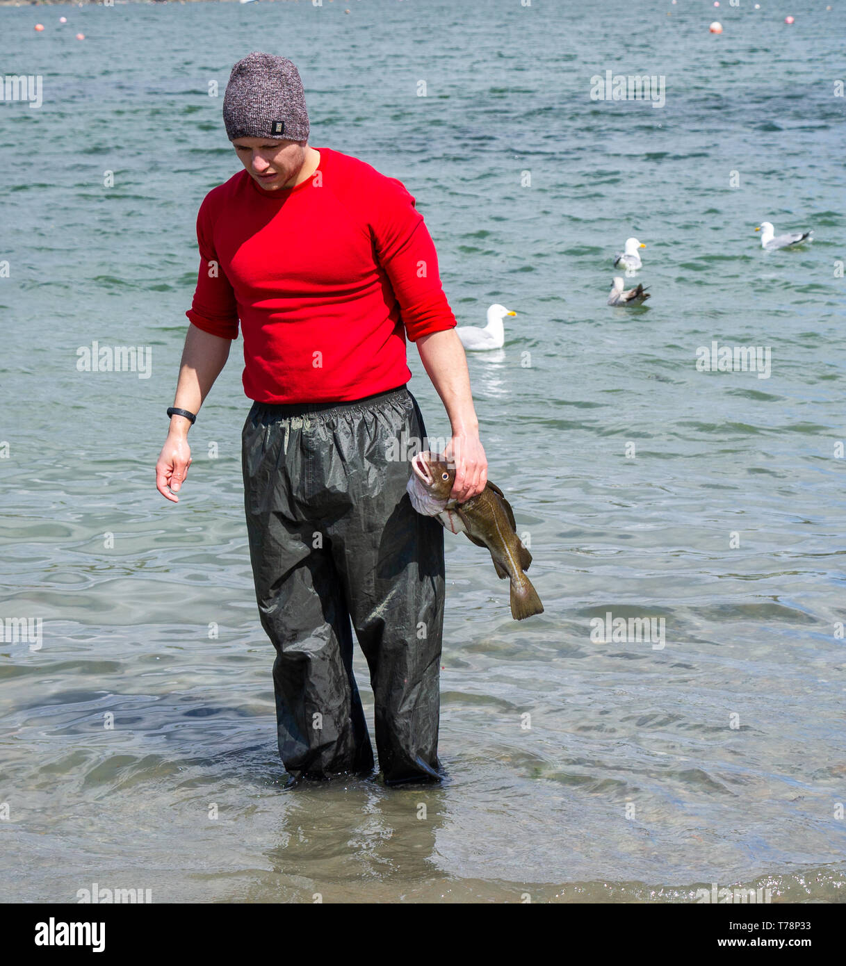 Male sea angler cleaning his catch of line caught fish in the sea Stock