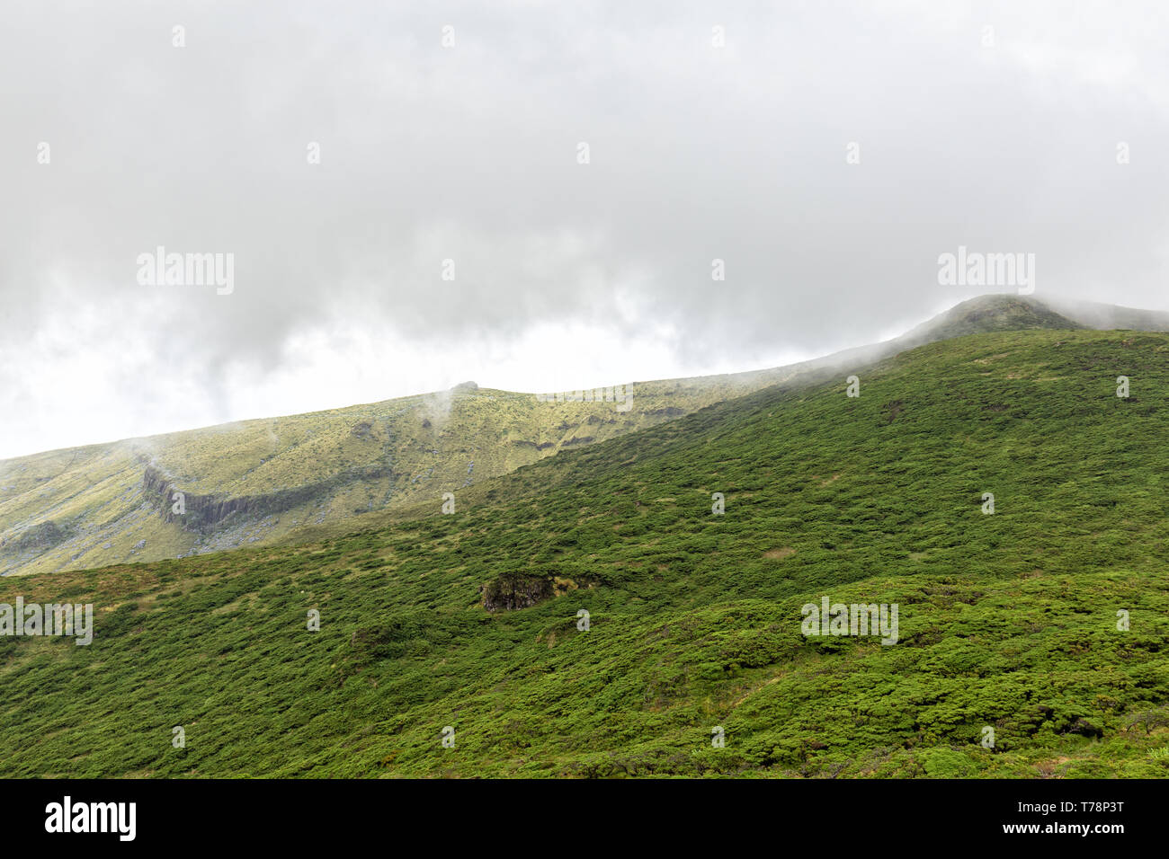 Misty green hill on Flores island in the Azores. Stock Photo