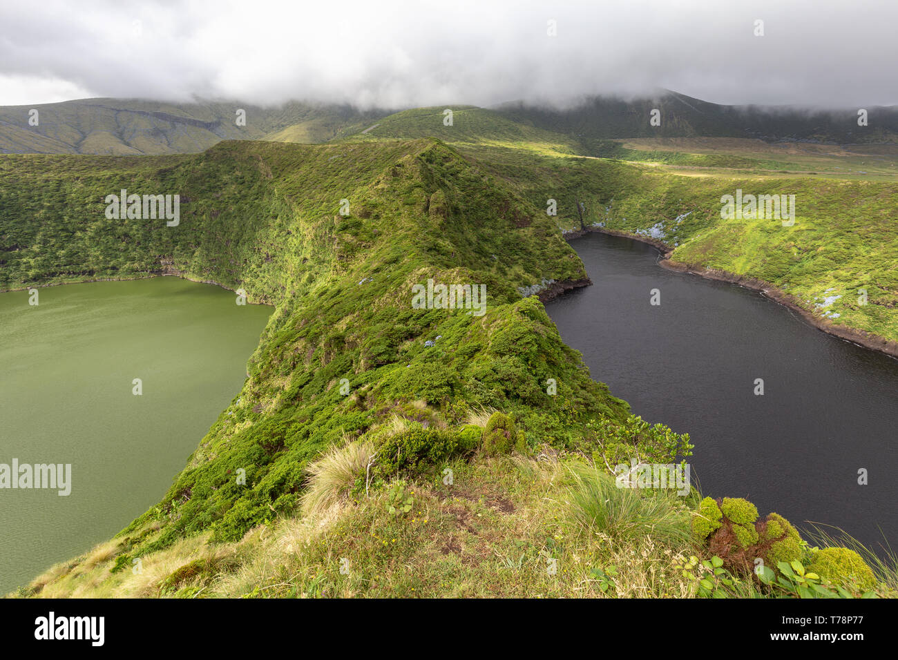 Twin multi-colored crater lakes on the island of Flores in the Azores. Stock Photo