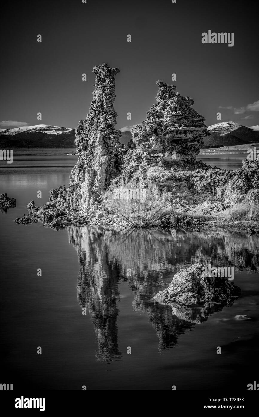 Tufa towers columns of limestone at Mono Lake Stock Photo