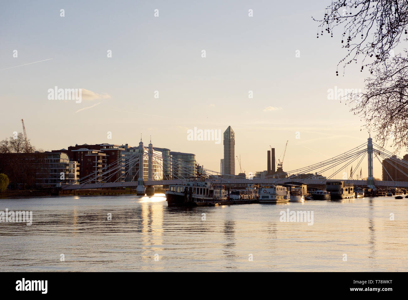 Houseboats on the River Thames at Chelsea in London, England Stock Photo Alamy