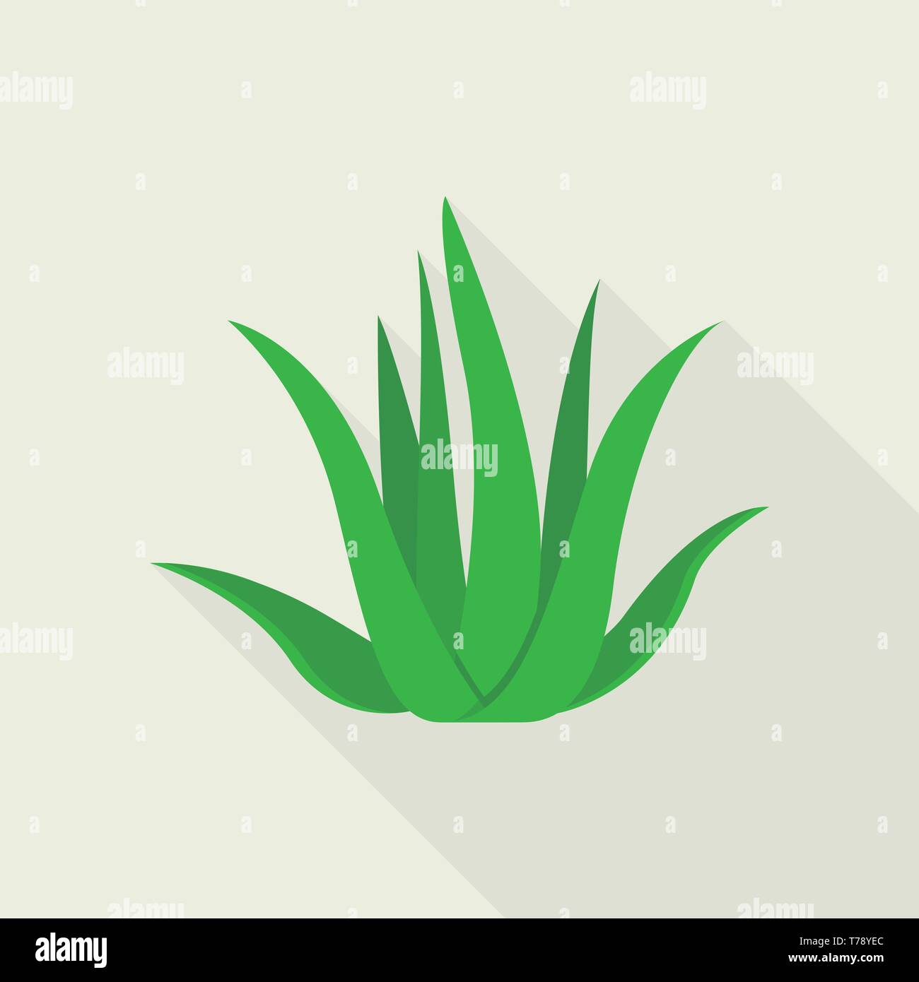 Aloe vera plant icon, flat style Stock Vector Image & Art - Alamy
