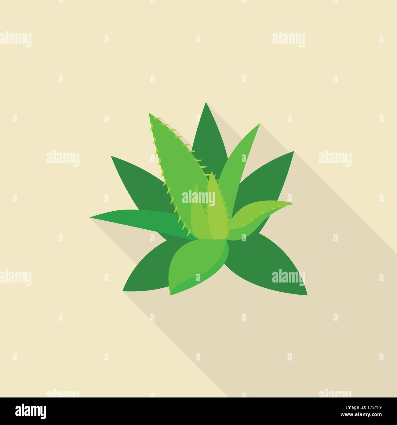 Aloe vera icon, flat style Stock Vector Image & Art - Alamy