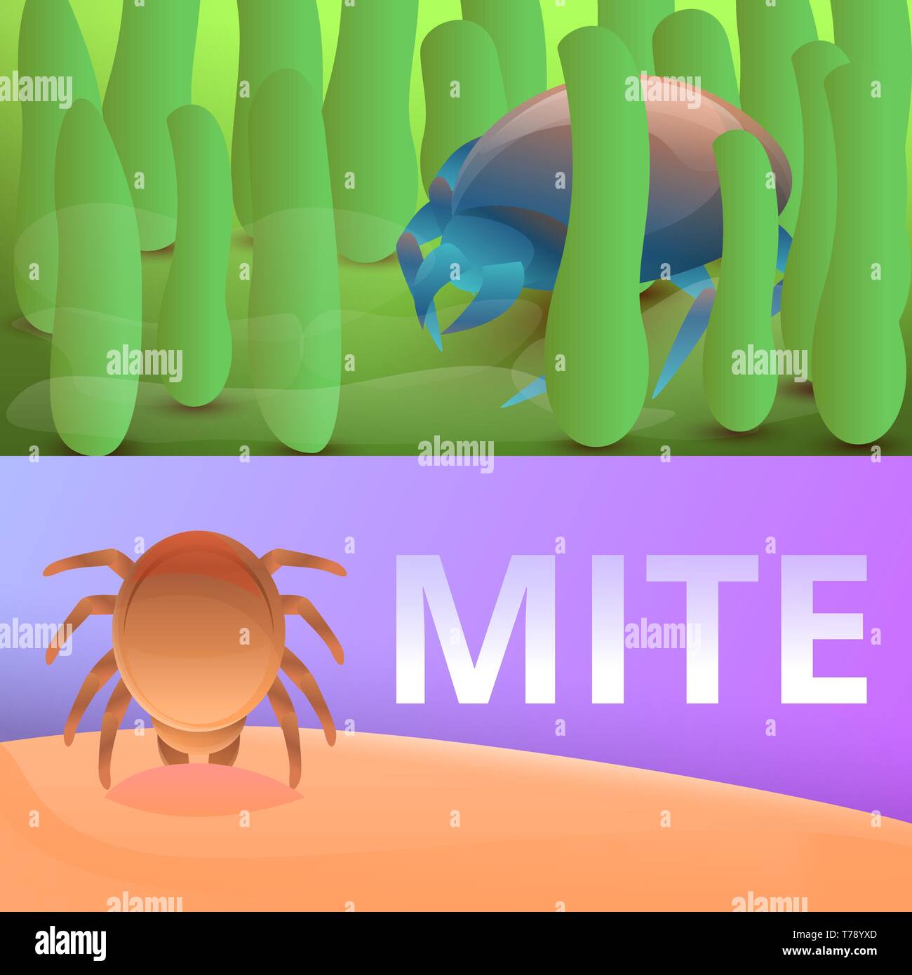 Insect mite banner set. Cartoon illustration of insect mite vector banner set for web design Stock Vector