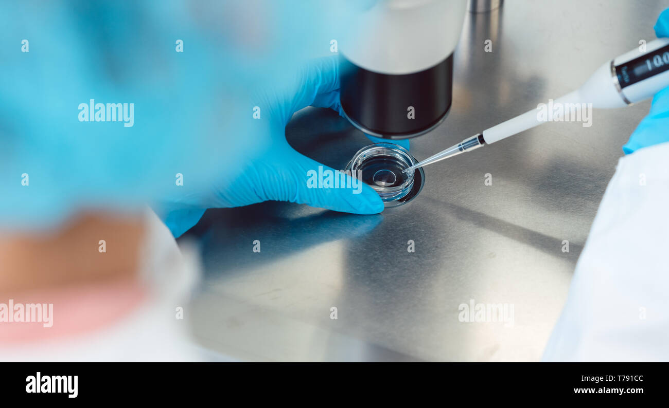 Woman scientist working with pipette in laboratory Stock Photo