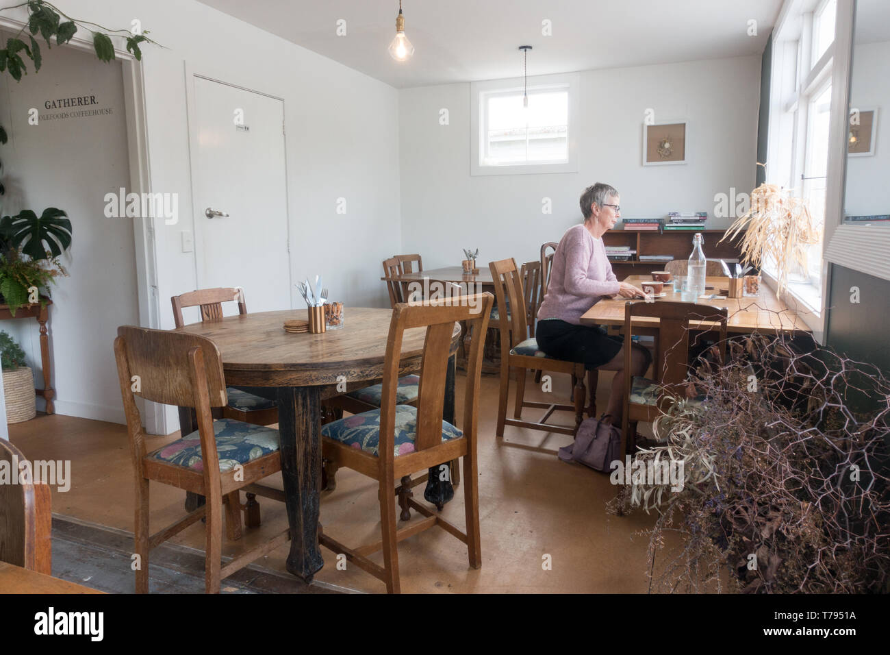 Hari hari new zealand hires stock photography and images Alamy