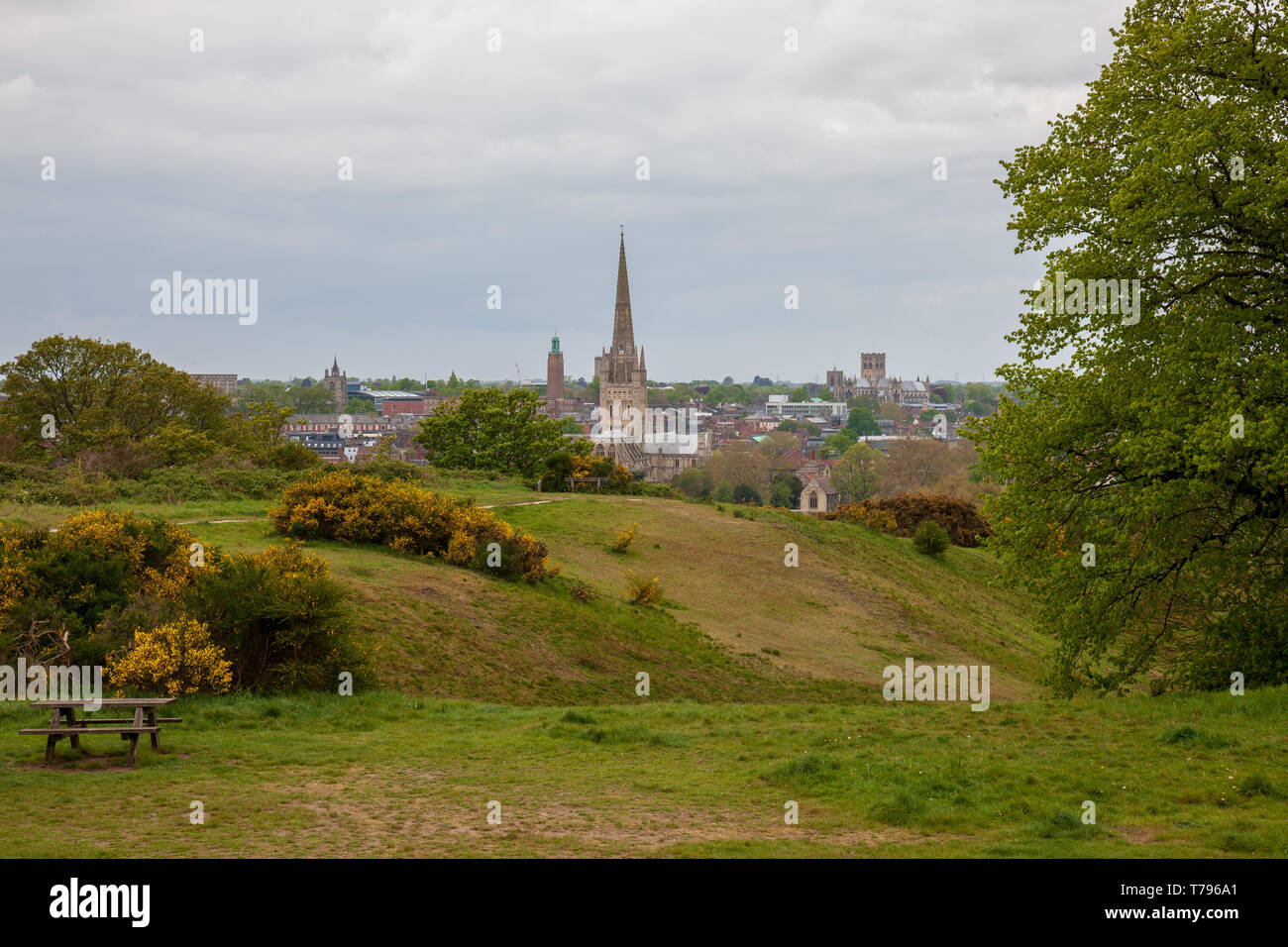 view of the norwich skyline from mousehold heath norwich norfolk Stock  Photo - Alamy