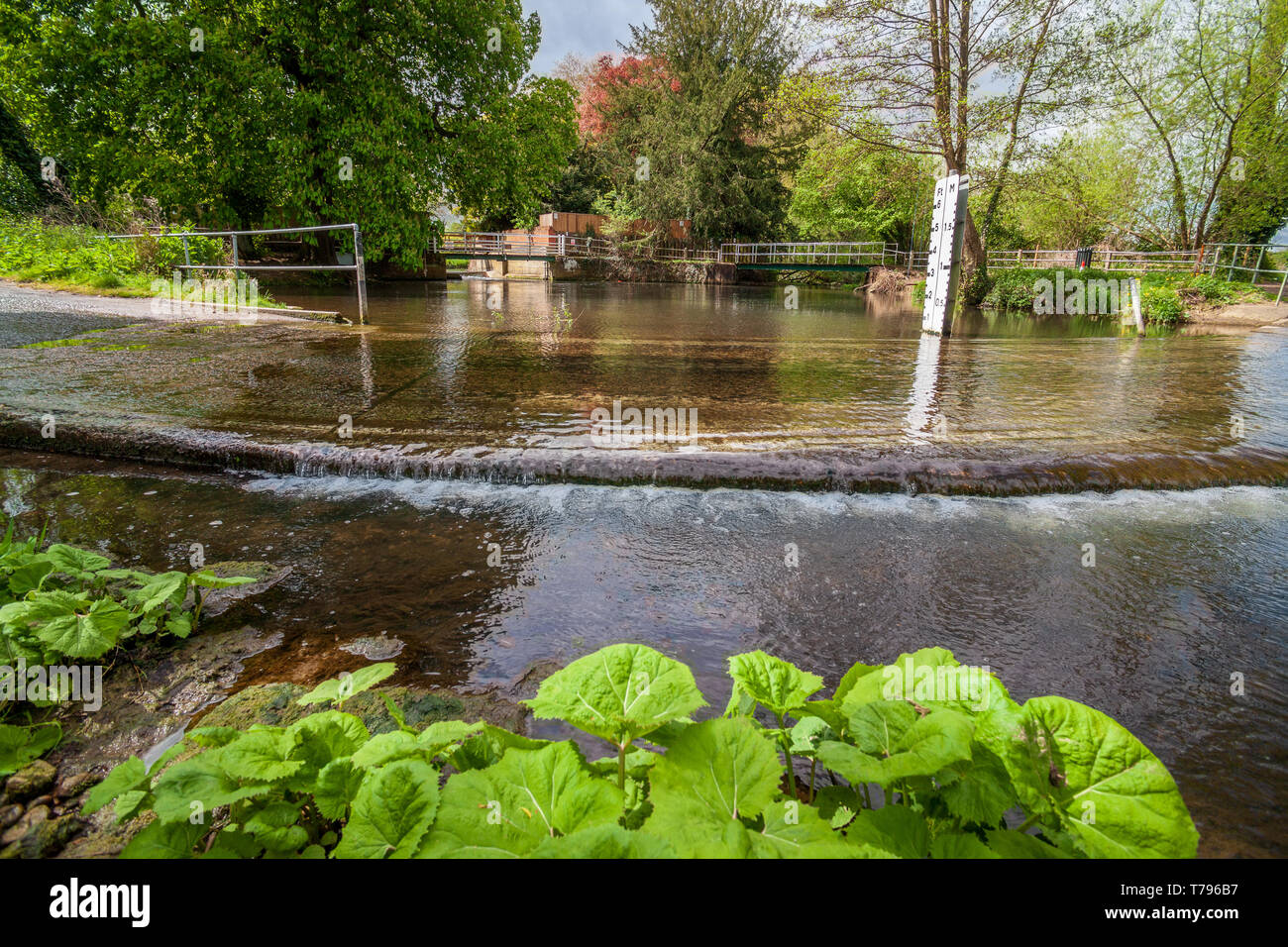 shotesham ford in norfolk uk Stock Photo - Alamy